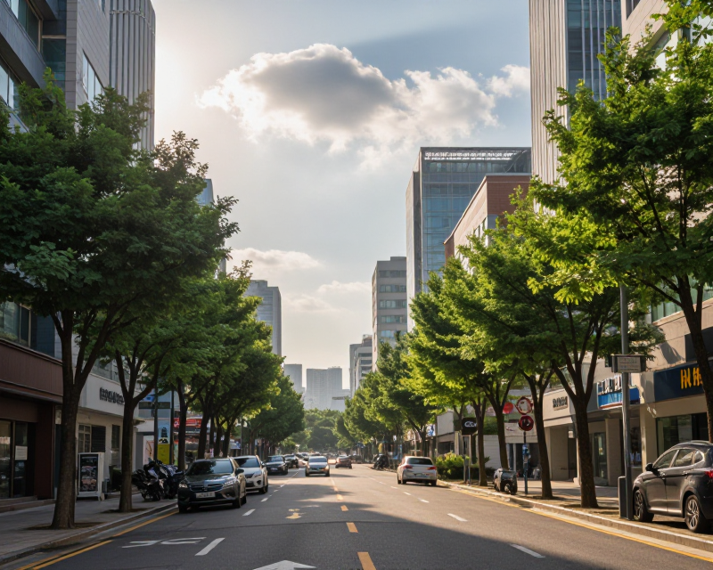 Summer Morning in South Korea